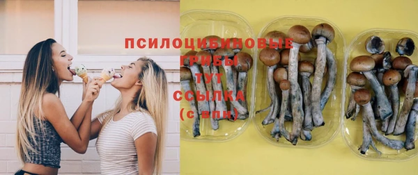 прущая мука Нефтегорск