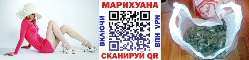 Шишки марихуана сатива  где купить наркотик  Торжок 